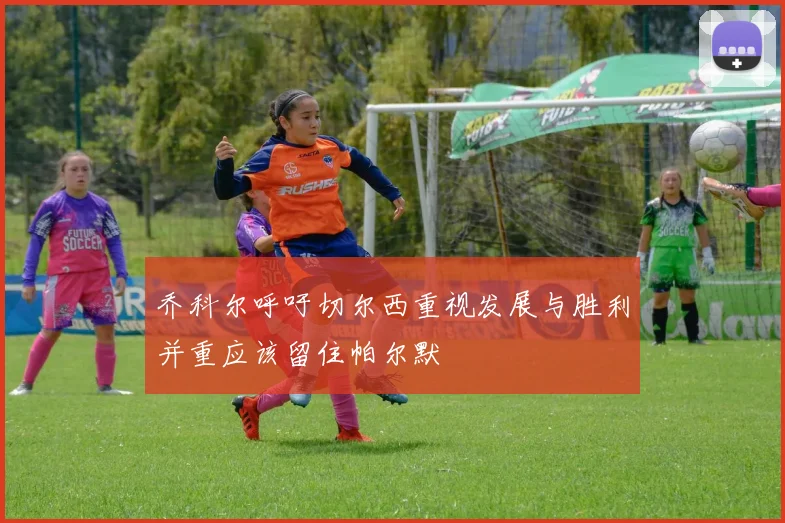 乔科尔呼吁切尔西重视发展与胜利并重应该留住帕尔默