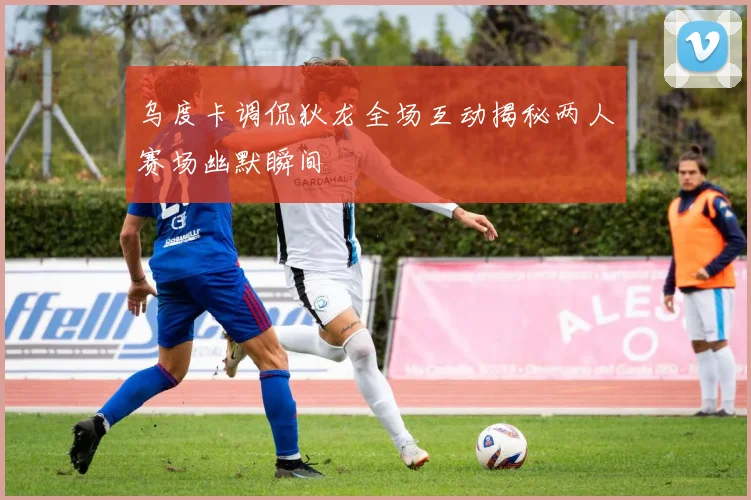 乌度卡调侃狄龙全场互动揭秘两人赛场幽默瞬间