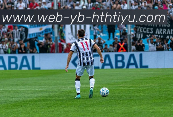 华体会体育APP 封面图